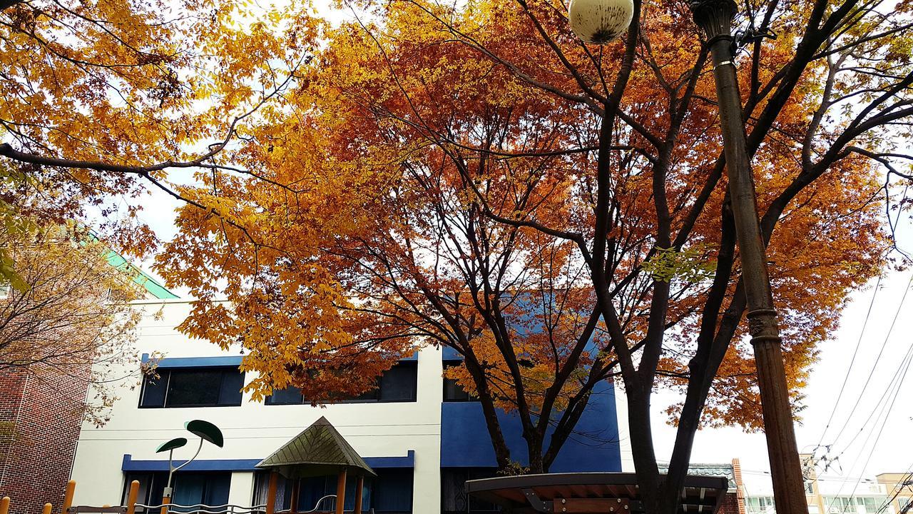 Lia House Hostel Busan Luaran gambar